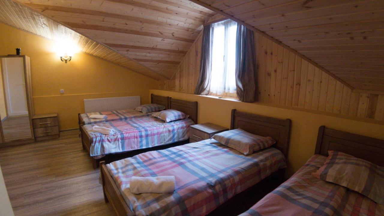 Hotel Eco House In Bakuriani Luaran gambar