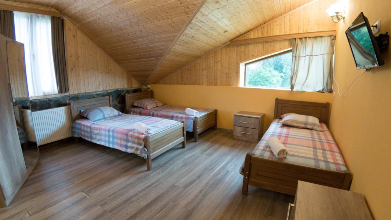 Hotel Eco House In Bakuriani Luaran gambar