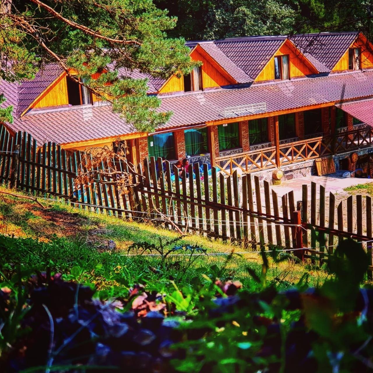 Hotel Eco House In Bakuriani Luaran gambar