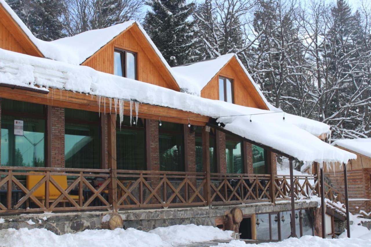 Hotel Eco House In Bakuriani Luaran gambar